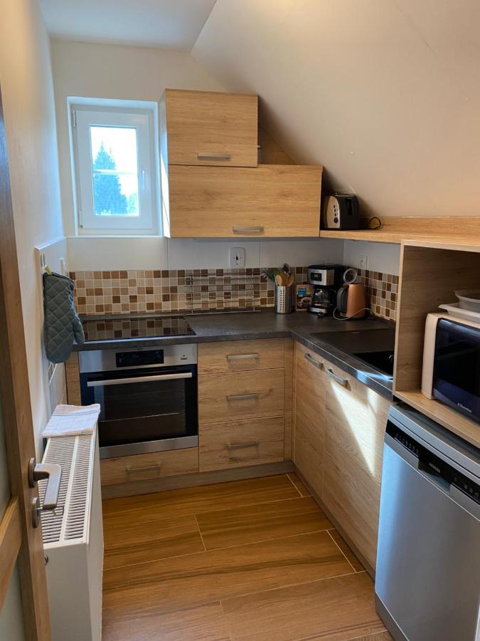 Apartman 430 데슈트네 프 오를리츠키흐 호라 외부 사진